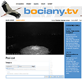 bociany.tv